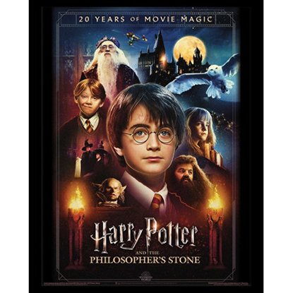 Pyramid HARRY POTTER - 20 Years Of Movie Magic - Framed Print 30x40cm Ξυλο σε Καμβα (FP13207P)