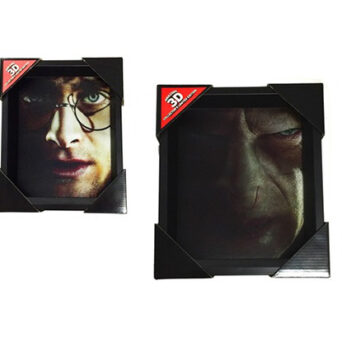 Pyramid HARRY POTTER - Harry vs Voldemort - 3D Lenticular Poster 26x20cm Καδρο σε Καμβα (EPPL71335)
