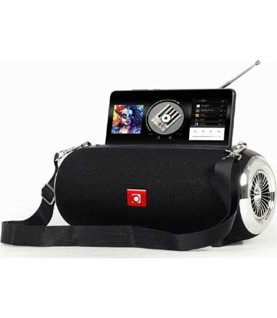 GEMBIRD PORTABLE BLUETOOTH SPEAKER WITH ANTENNA BLACK