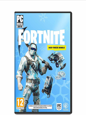 Fortnite (Deep Freeze) Bundle PC NEW