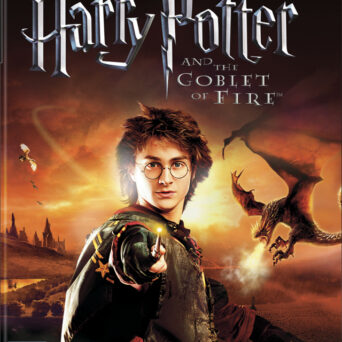 Harry Potter and the Goblet of Fire PS2 USED