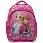 Disney Τσάντα Δημοτικού Frozen 42x31x18cm (TG-50-2244)