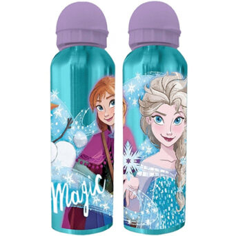 Justnote Παγούρι Μεταλλικό Frozen 2 21x6,5cm 500ml