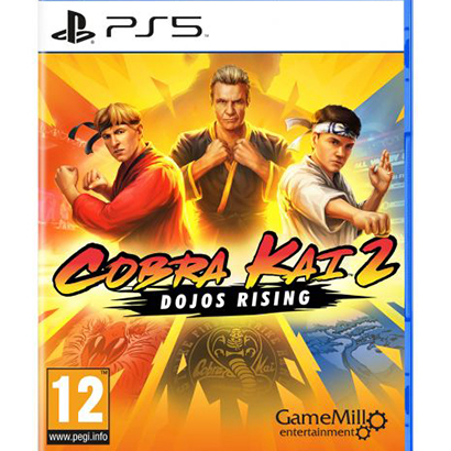Cobra Kai 2 Dojos Rising PS5 USED