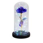 Παντοτινό Τριαντάφυλλο 22cm σε Γυάλα με LED