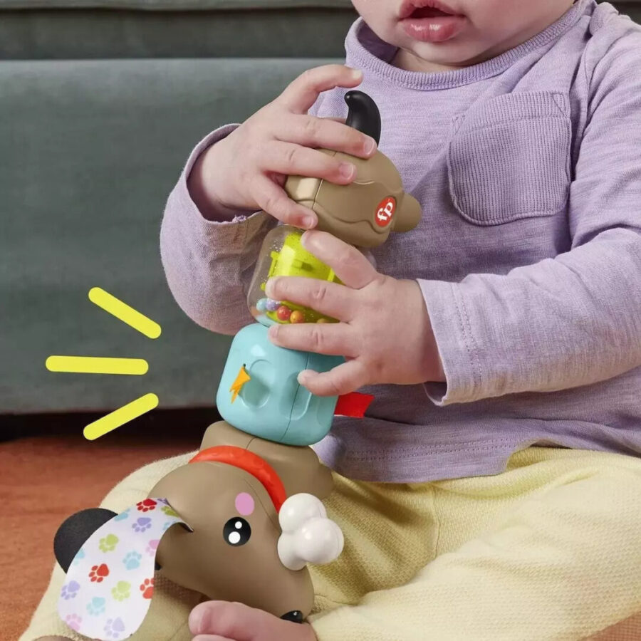 FISHER PRICE ΣΚΥΛΑΚΙ ΔΡΑΣΤΗΡΙΟΤΗΤΩΝ (HTW91)