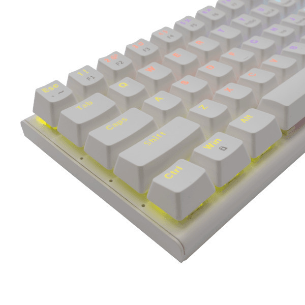 White Shark Mechanichal Keyboard US BLUE SWITCH Wakizashi WHITE GK-002221