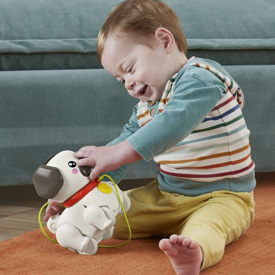 FISHER PRICE ΣΥΡΟΜΕΝΟ ΣΚΥΛΑΚΙ (HTW94)