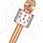 WSTER WS-858 Ασυρματο Μικροφωνο Karaoke WS-858 Ροζ Χρυσο